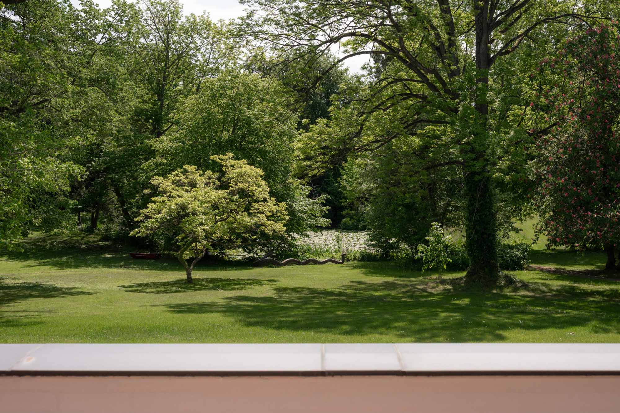 Foto: MITVUE